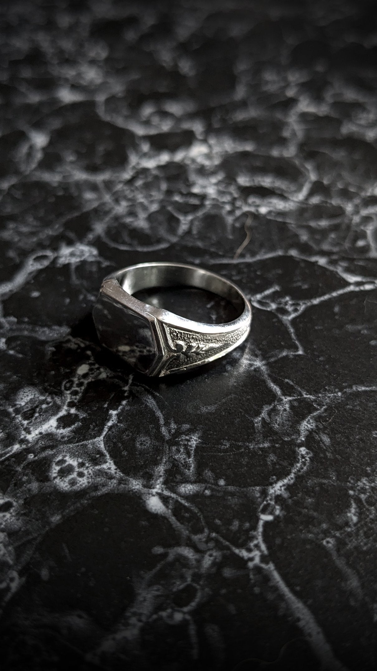 Albus Detailed Signet Ring