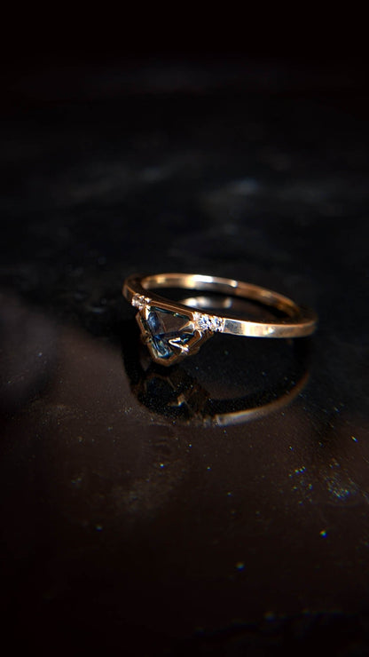 Ayres Montana Sapphire Shield Ring