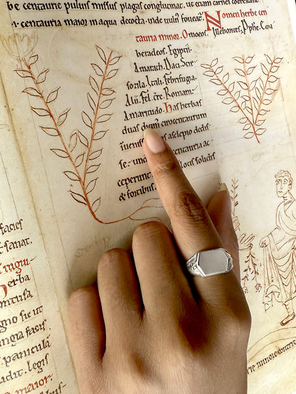 Albus Detailed Signet Ring