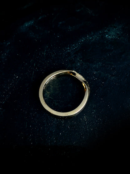 Ouroboros Ombre Diamond Band