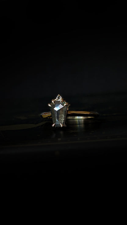 Lilith Coffin Grey Diamond Ring