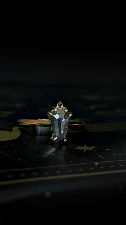 Lilith Coffin Grey Diamond Ring