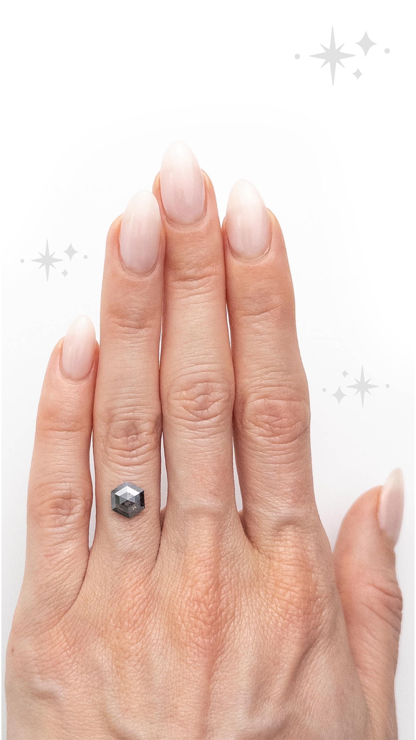 Hexagon Rose Cut Salt and Pepper Diamond