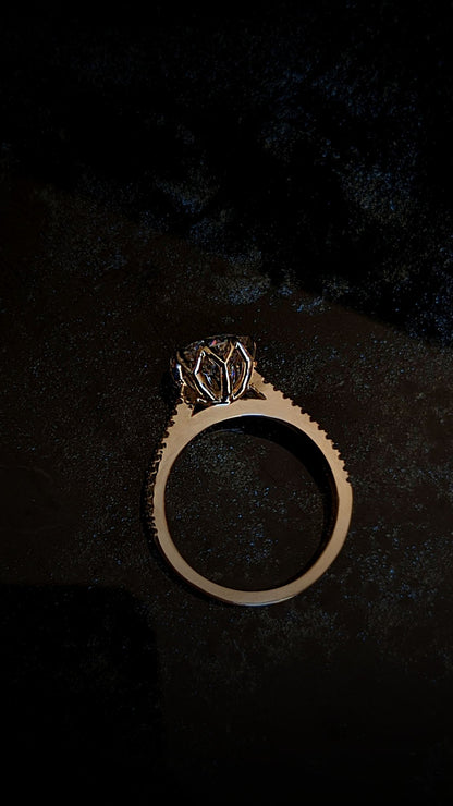 Octesian Ombrè with Moissanite