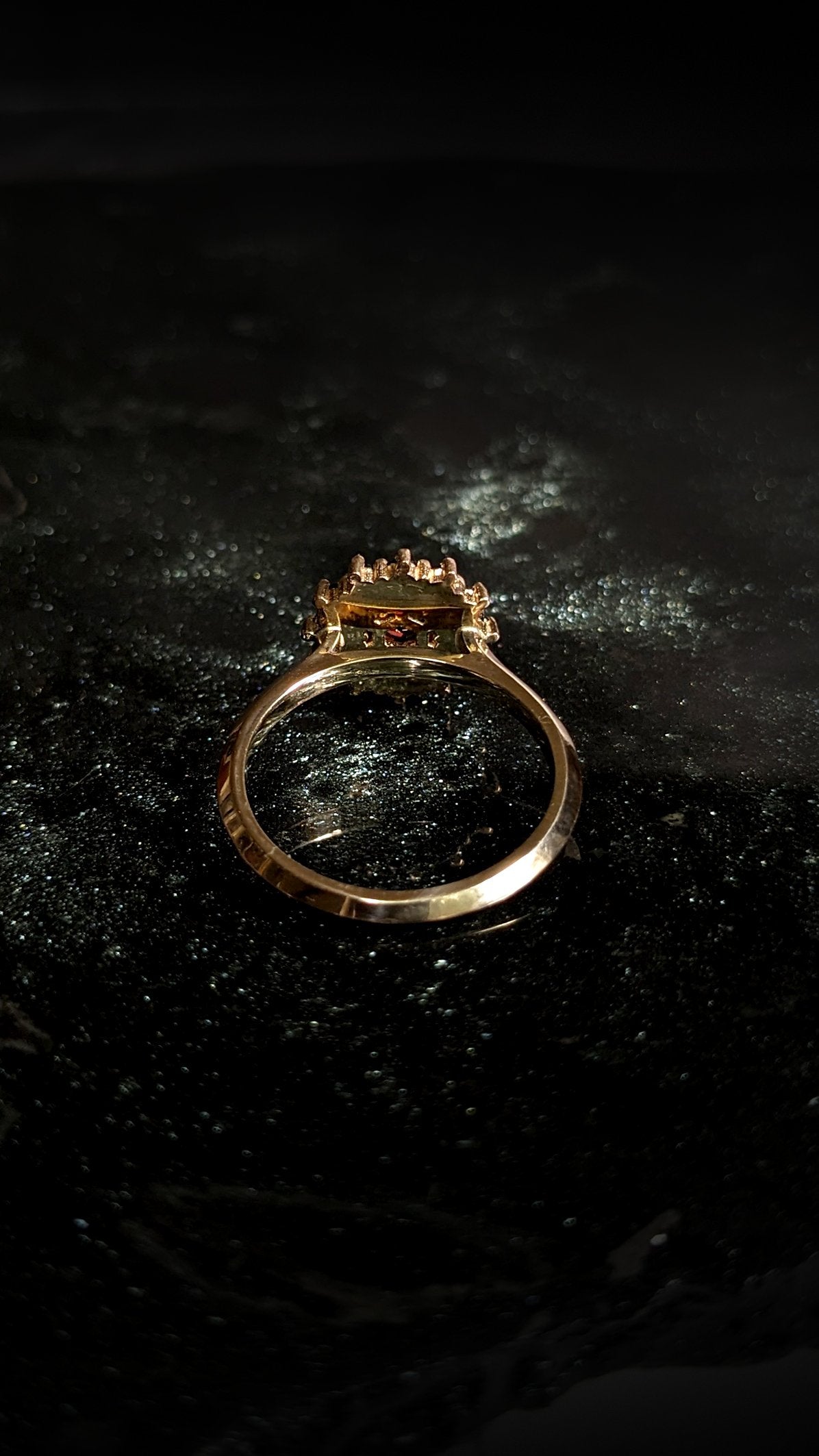 Phaenon Double Halo Ring