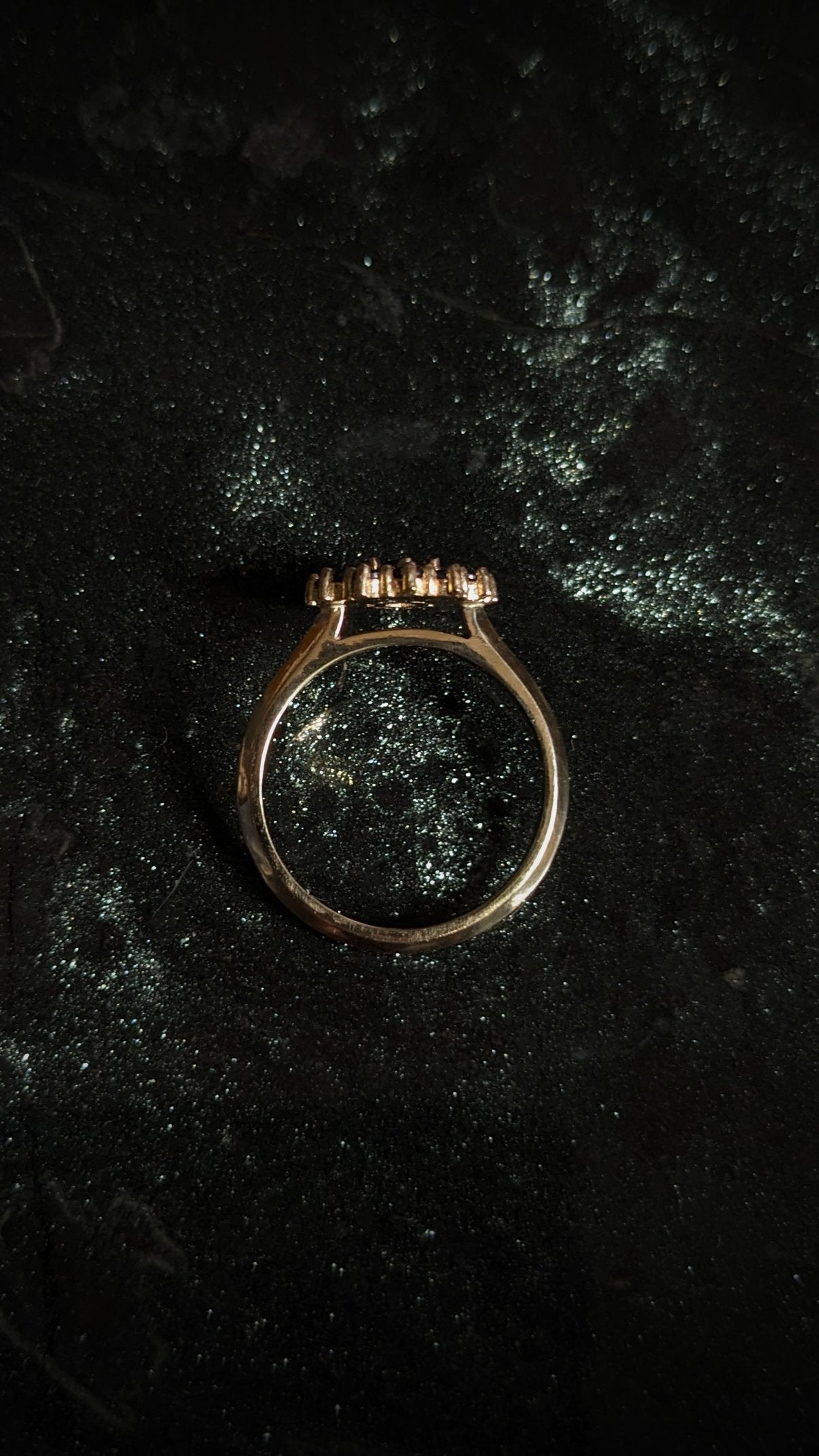 Phaenon Double Halo Ring