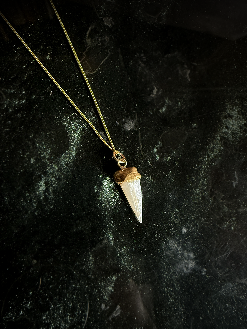 Pearl 'Tooth' Necklace - Brass