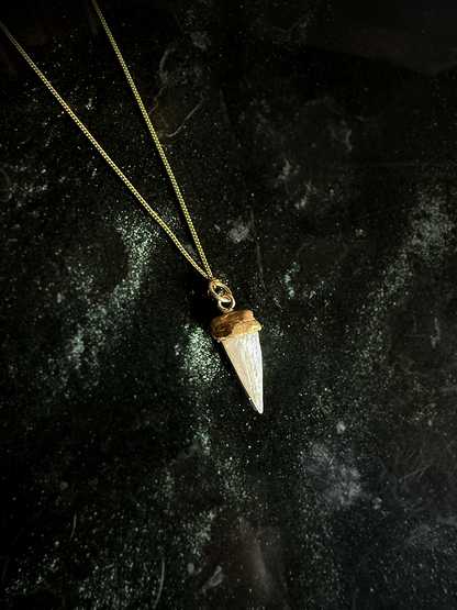 Pearl 'Tooth' Necklace - Brass