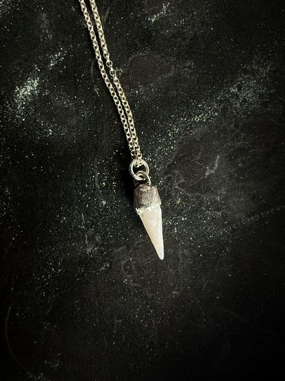 Pearl 'Tooth' Necklace - Silver