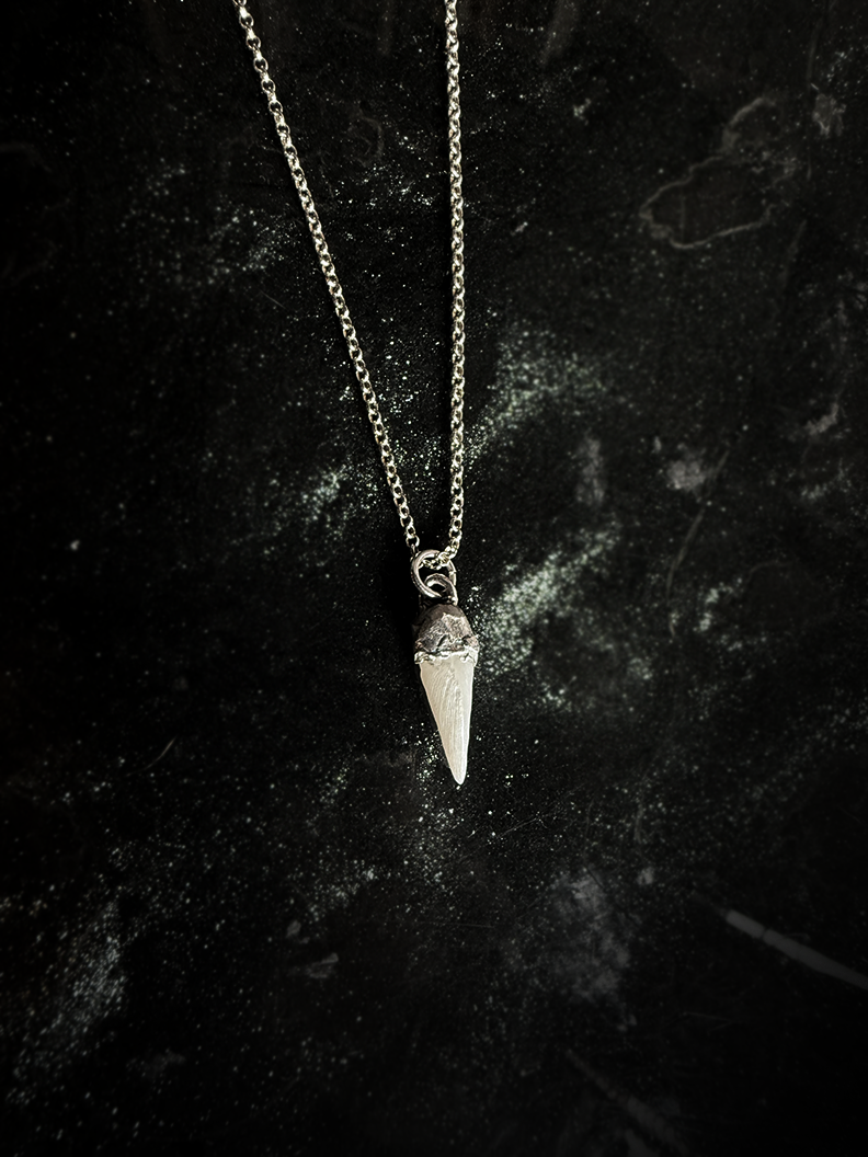 Pearl 'Tooth' Necklace - Silver