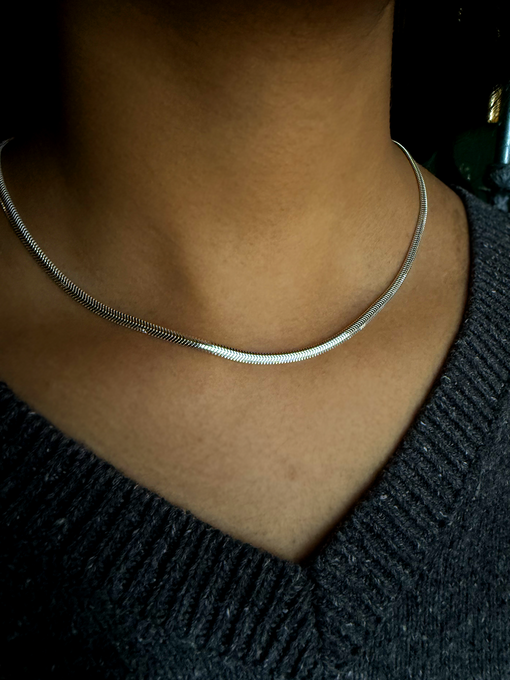 Snakebone Sterling Silver Chain