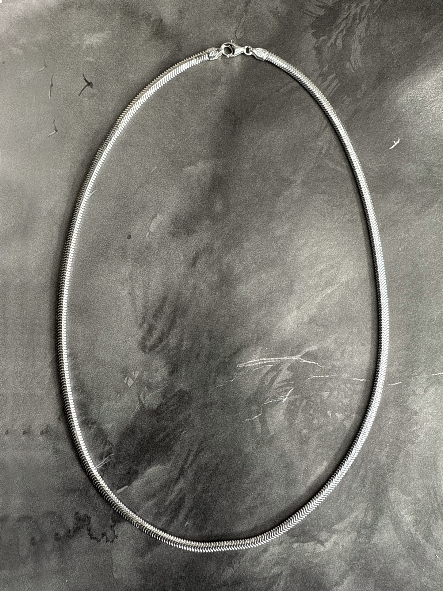 Snakebone Sterling Silver Chain